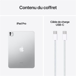 Acheter le nouvel iPad Pro 11" M4 (2024) 5G 256 Go Argent  en plusieurs fois chez wedealee